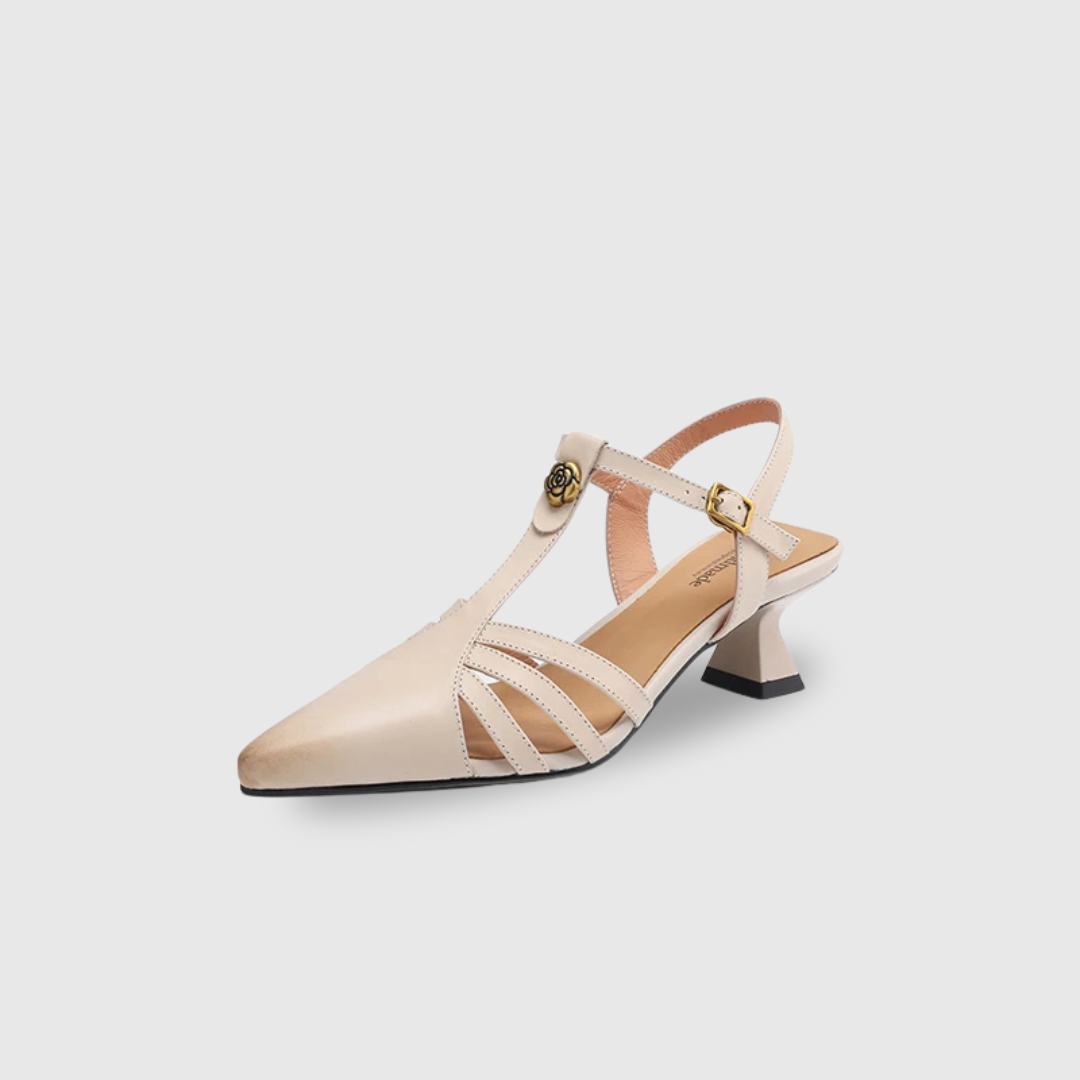 Iravelle Pointed Toe Shoes