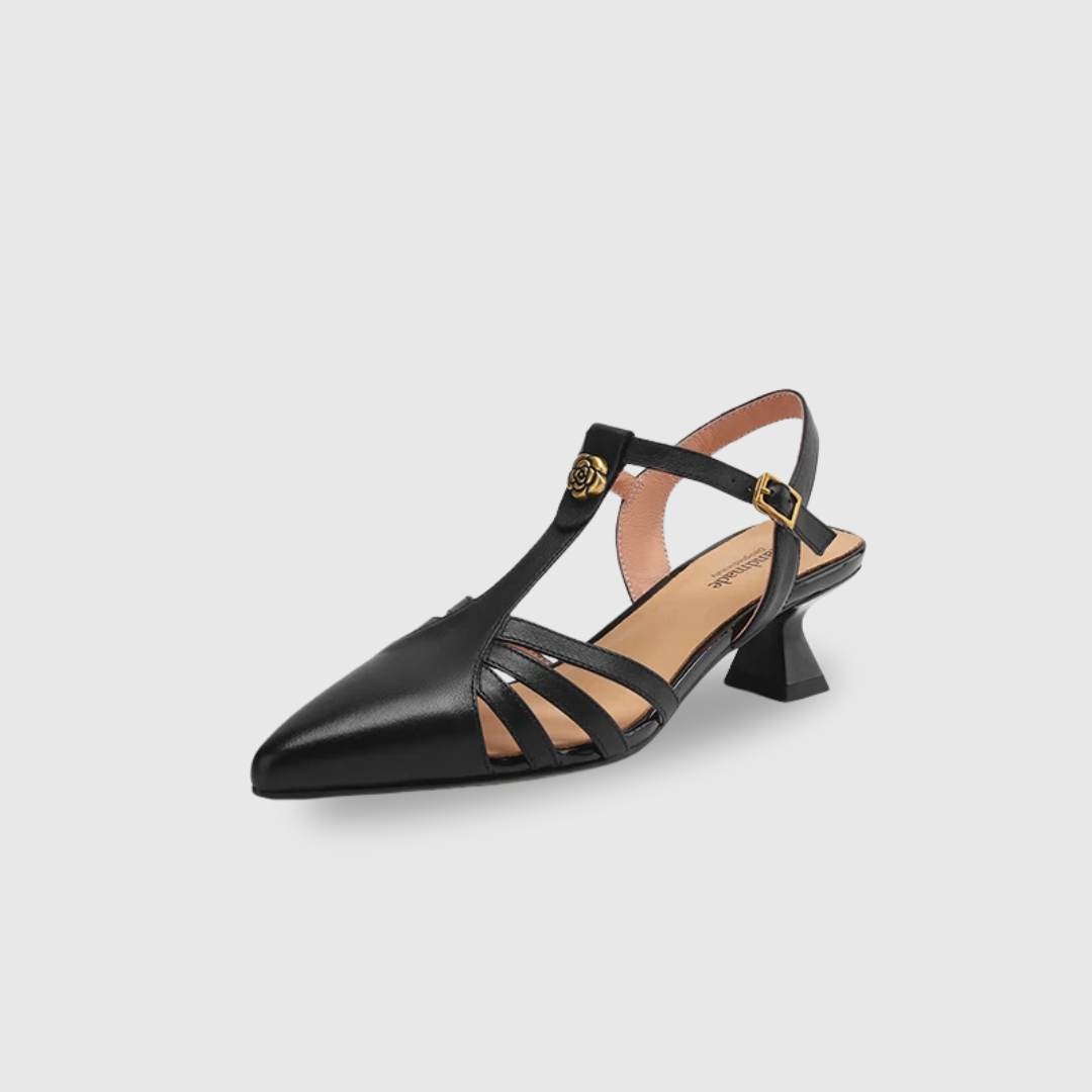 Iravelle Pointed Toe Shoes